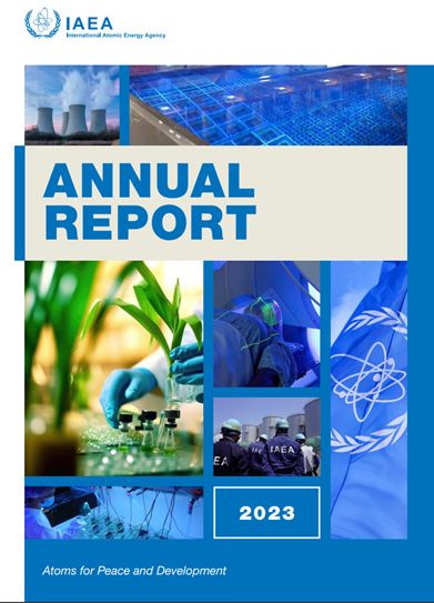 Launching Nuclear Power Programmes